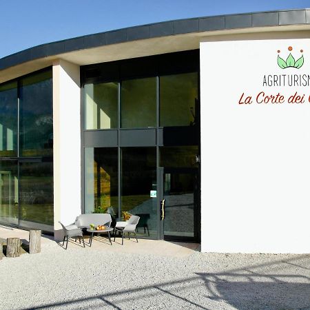 Agritur La Corte Dei Ciliegi Trento Eksteriør billede